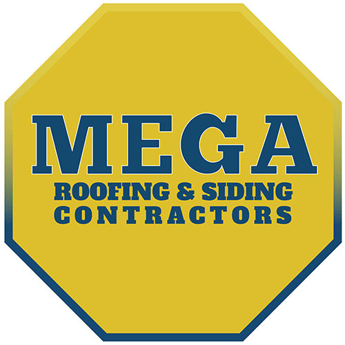 logo (1)
